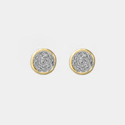 Aros Bianca oro y platino