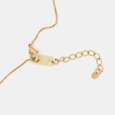 Collar Oro Virgen Rayos